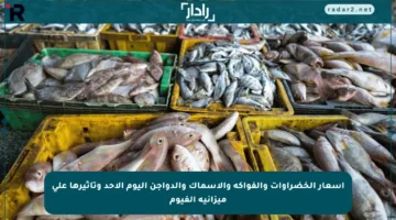 أسعار الخضراوات والفواكه والأسماك والدواجن اليوم الأحد وتأثيرها على ميزانية الفيوم